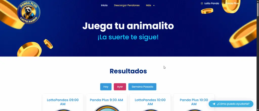 Hosting + Desarrollo